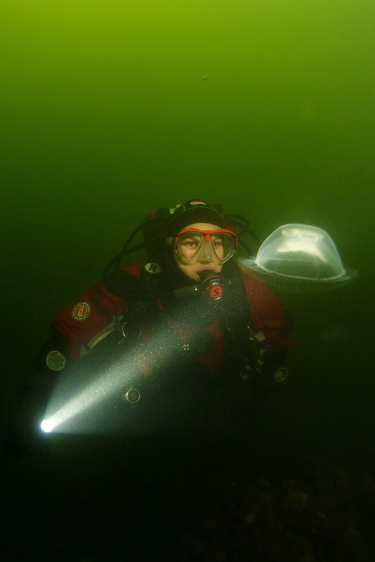 Paul van Erp, Team de Flitsbuddies, groothoek met model, ONK onderwaterfotografie 2021