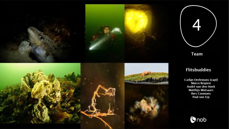 Flitsbuddies teams wedstrijd uitslag 4de plek, ONK onderwaterfotografie 2021