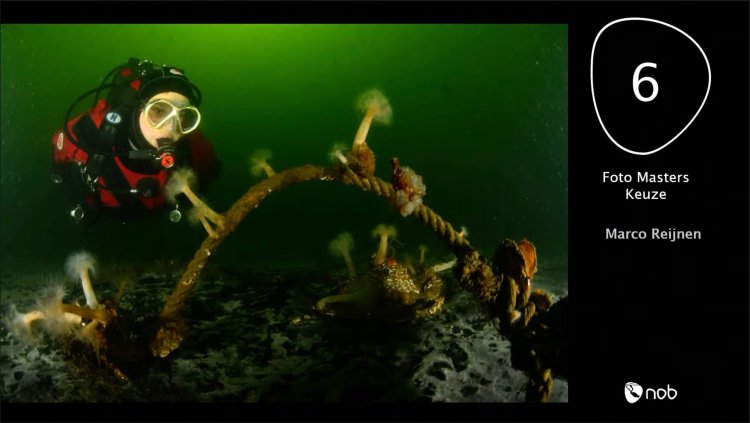 Marco Reijnen 6de plek in de keuze categorie (groothoek met model), ONK onderwaterfotografie 2021