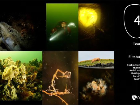Prijsuitreiking ONK Onderwaterfotografie 2021